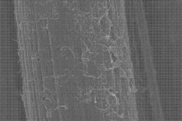 制備熱塑性碳纖維前，出廠自帶的上漿劑需謹(jǐn)慎處理